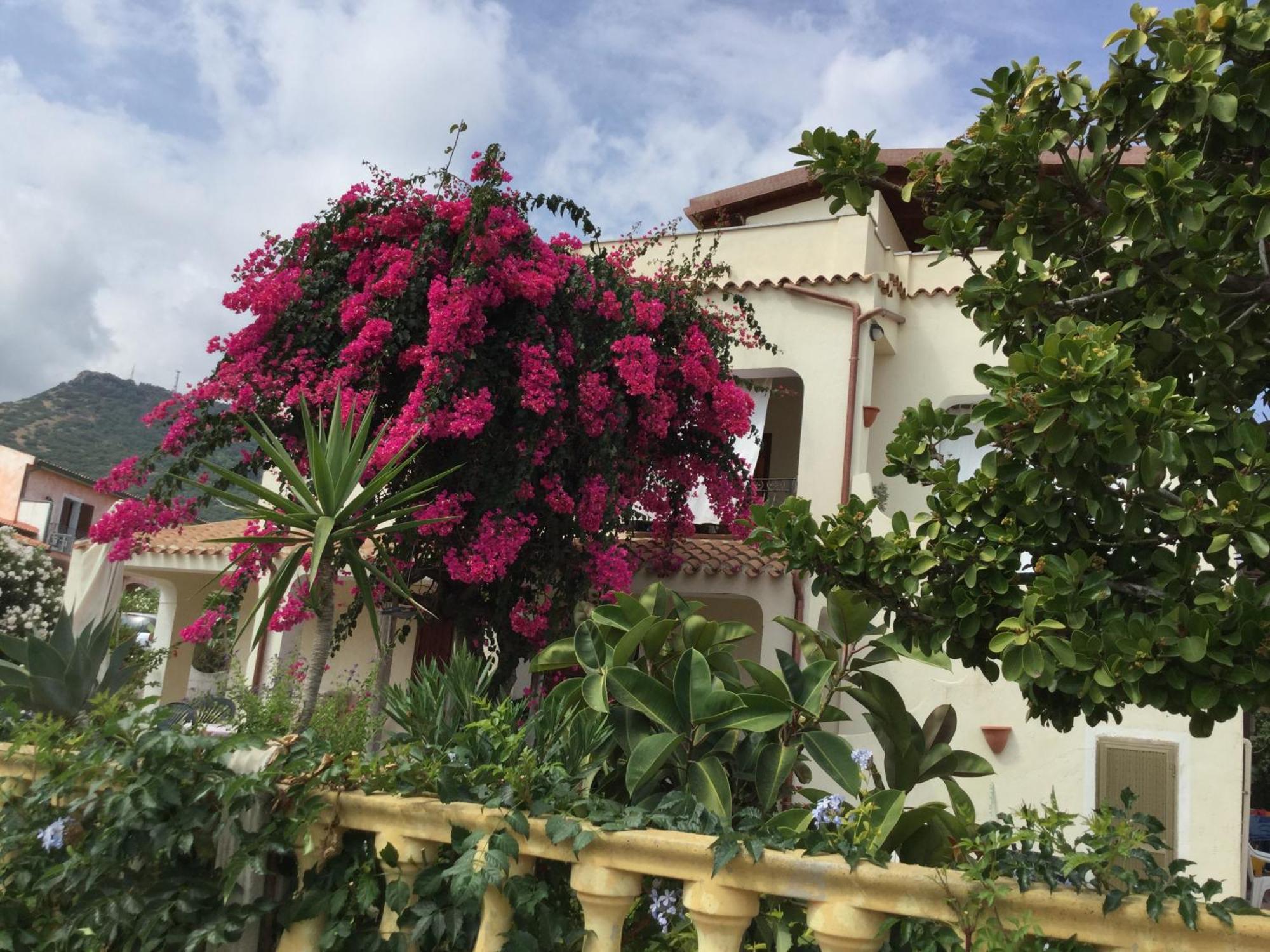 Villa Bouganville Valledoria Kültér fotó